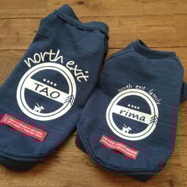 ちゃちゃさんの作品