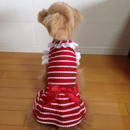 らくすさんの作品