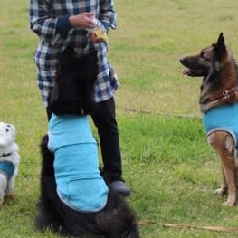 ちゃちゃまるさんの作品