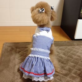 らくすさんの作品