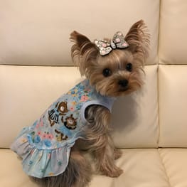 ティンクさんの作品