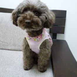 kunkunさんの作品