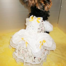 かさたんさんの作品