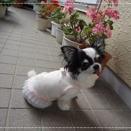 じゅんさんの作品