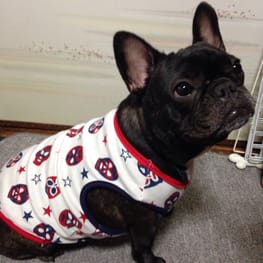 咲桜さんの作品