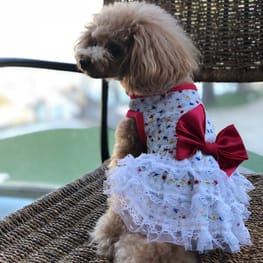 cocolalaのおかあさんさんの作品