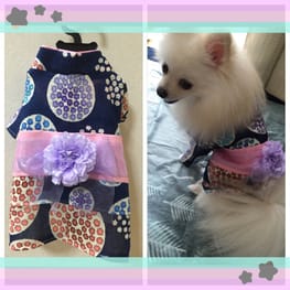 リリーさんの作品