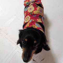 ライさんの作品