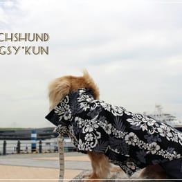 akizoo88さんの作品