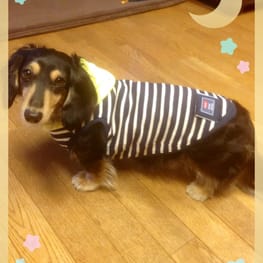 かんれいさんの作品