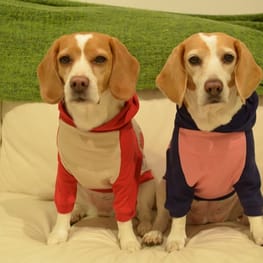 locomiさんの作品