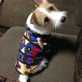 randymikioさんの作品