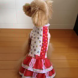 らくすさんの作品