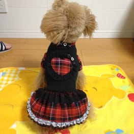 らくすさんの作品