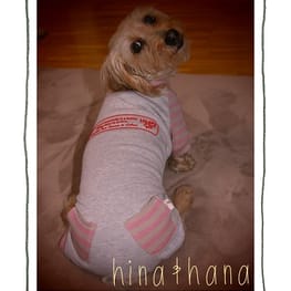 ひなはなさんの作品