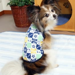 はるさんの作品