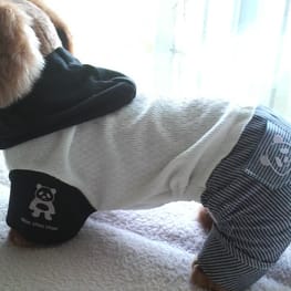 usakorinさんの作品