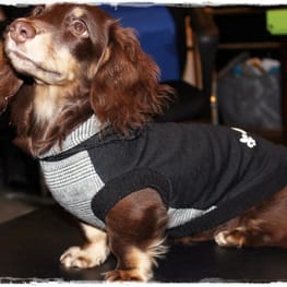 akizoo88さんの作品