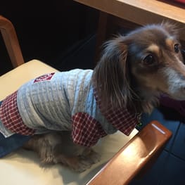 みにくろりんさんの作品