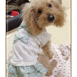 blancoさんの作品