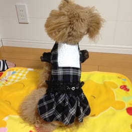 らくすさんの作品