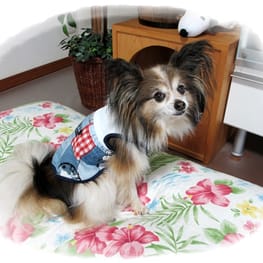 はるさんの作品