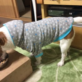 ぶるーしおんさんの作品