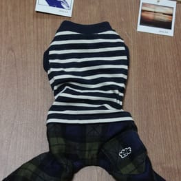 wankokoさんの作品