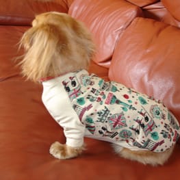 COCOままさんの作品