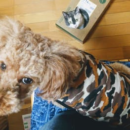 ななびさんの作品