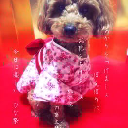 パコさんの作品