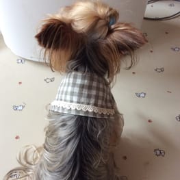 erikoさんの作品