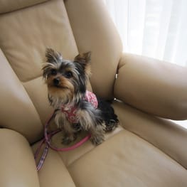 やすべえさんの作品