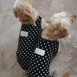 ひなはなさんの作品