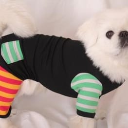 ちゃちゃまるさんの作品