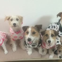 ぶるーしおんさんの作品