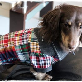 akizoo88さんの作品