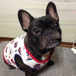 咲桜さんの作品