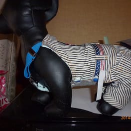 ちみこママさんの作品