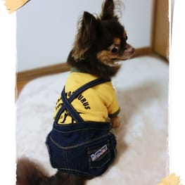 roncoさんの作品