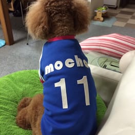 mochamamaさんの作品