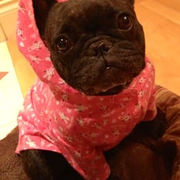 Peasnatchさんの作品