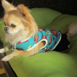 テンミーさんの作品