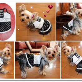 なおまろんさんの作品