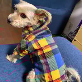 シャツ※販売停止/millacra / 愛犬のための犬服、ペット服の型紙通販