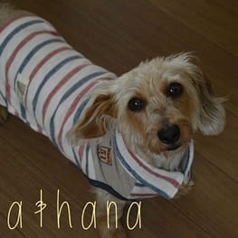 ひなはなさんの作品