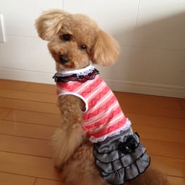 らくすさんの作品