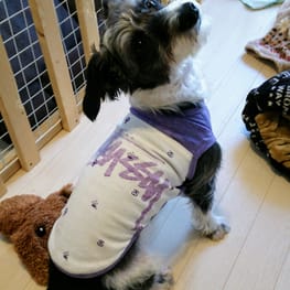 がっちゃんままさんの作品