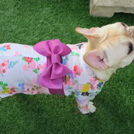 げんこつママさんの作品