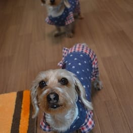 ひなはなさんの作品